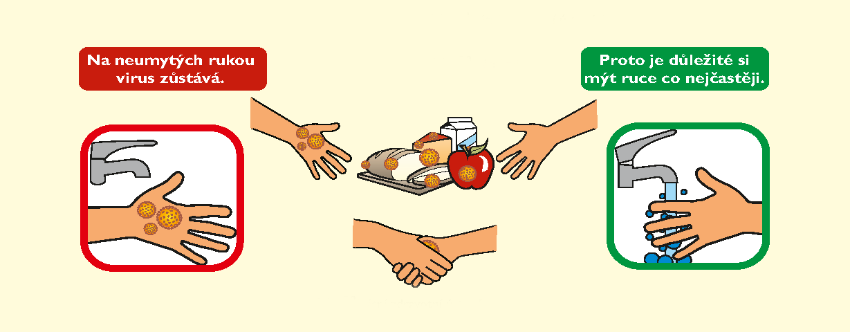 Z informačního letáku ke žloutence A