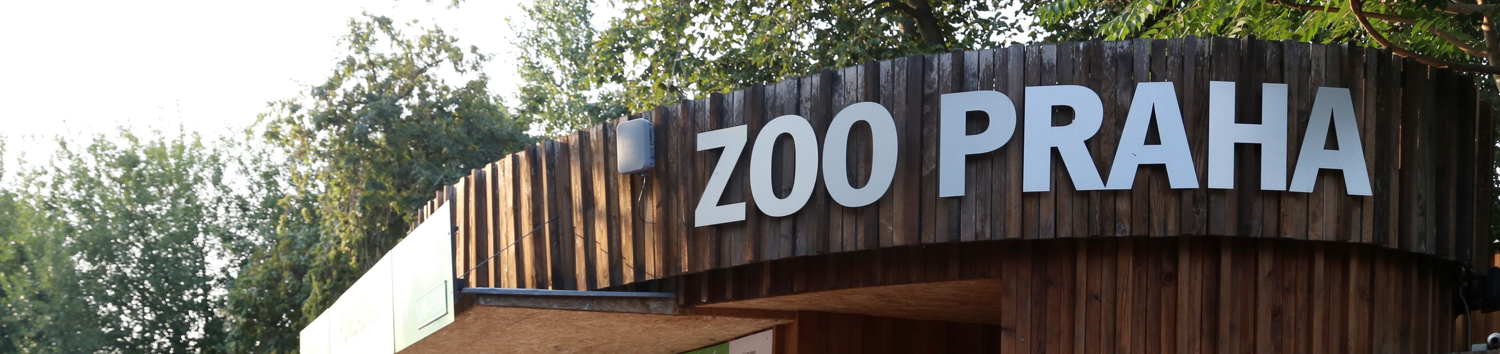 Ilustrační foto - Zoo Praha